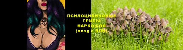 mdpv Горнозаводск