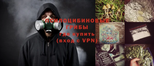 ПСИЛОЦИБИНОВЫЕ ГРИБЫ Вязьма