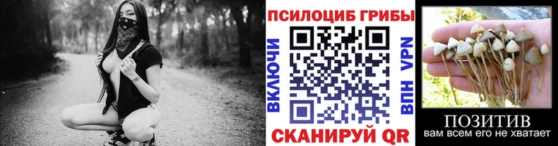 Галлюциногенные грибы Psilocybine cubensis  Купить закладки  Анива 